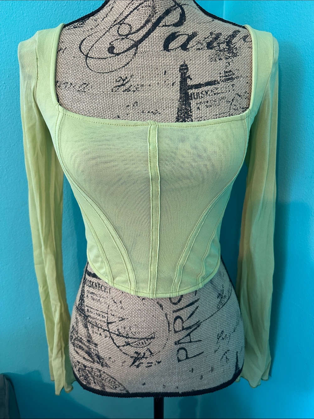 Urban Outfitters Light Green Victorian Sheer Longsleeve Crop Top S